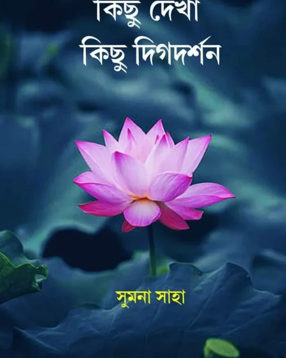 Kichu Dekha Kichu Digdarshan || Sumona Saha || কিছু দেখা কিছু দিগ্দর্শন || সুমন সাহা