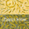 Roudrachayar Sangkalan || Joy Goswami