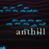 Anthill || Vinoy Thomas, Nandakumar K.