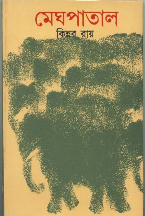 MEGH PATAL || মেঘ পাতাল || KINNAR RAY