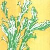 Bishay : Abritti ll Debdulal Bandyopadhyay & Amiya Chattopadhyay