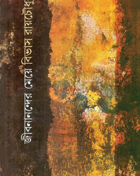 Jibananander Meye || Bivas Roy Chowdhury
