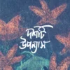 Dashti Upanyas || Nillohit || দশটি উপন্যাস || নীললোহিত