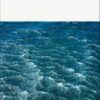 The Modern Classics Plague Penguin Modern Classics || Albert Camus ||