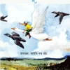 Nilser Duronto Obhijan || নীলসের দুরন্ত অভিযান