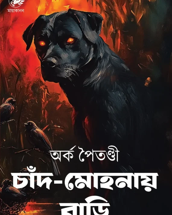 Chand Mohonay Bari ||  Arka Paitandi || চাঁদ মোহনায় বাড়ি || অর্ক পৈতণ্ডী