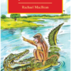 Jataka Tales || Rachael Mac Bean
