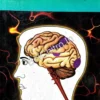 Sarir Bigyan (Physiology) ||  Dr. Yogen Debnath || শারীরবিজ্ঞান (ফিজিওলজি) || ডঃ যোগেন দেবনাথ